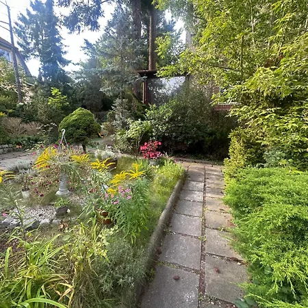 Center Park شقة *